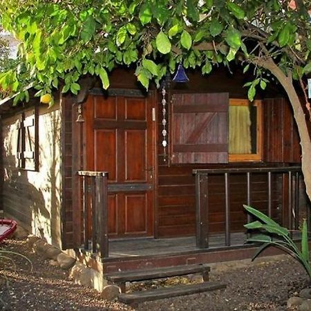 Villa נופש דביר - סוויטות מהממות ובקתה כפרית עם ג'קוזי ליד הכנרת - יש מקלט צמוד Migdal Exterior foto