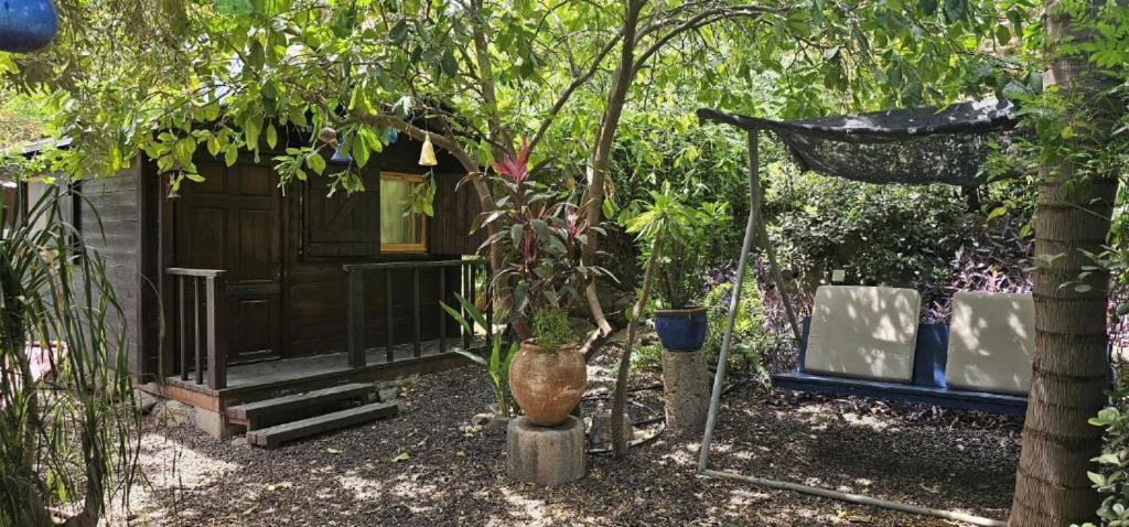 Villa נופש דביר - סוויטות מהממות ובקתה כפרית עם ג'קוזי ליד הכנרת - יש מקלט צמוד Migdal Exterior foto