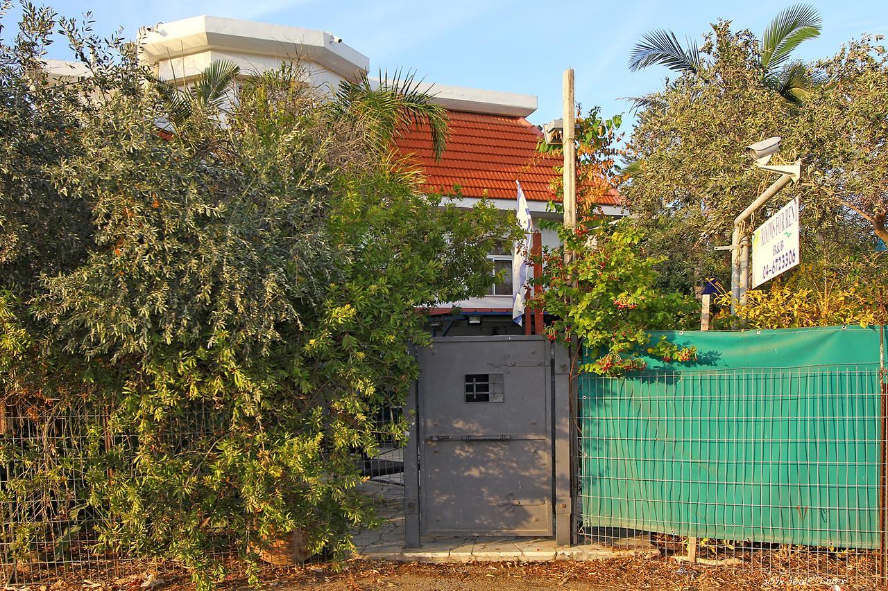 Villa נופש דביר - סוויטות מהממות ובקתה כפרית עם ג'קוזי ליד הכנרת - יש מקלט צמוד Migdal Exterior foto